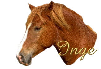 Inge Inge
