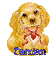 Damian Damian