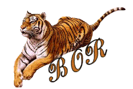 Bor Bor