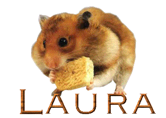 Laura Laura