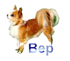 Bep Bep