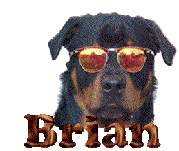 Brian Brian