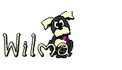 Wilma Wilma