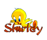 Shirley Shirley