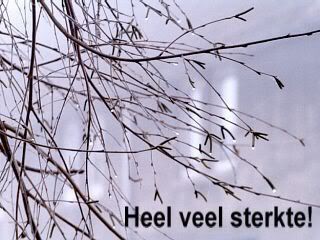 Heel veel sterkte Heel veel sterkte