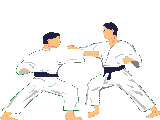 Judo Judo