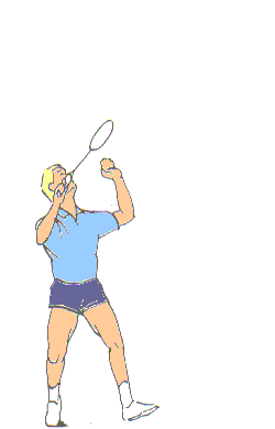 Badminton Badminton