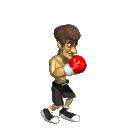 Bokser Bokser