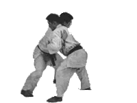 Judo Judo
