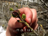 Growing Naturally… Wanna Play?