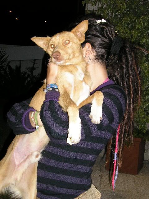 Imagem