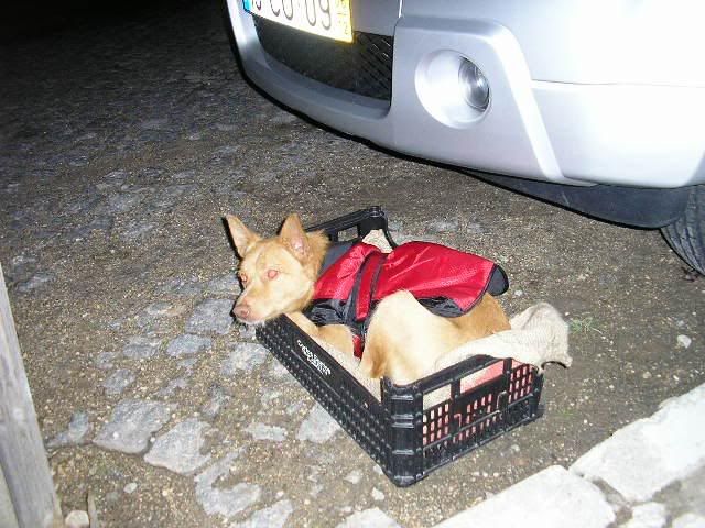 Imagem