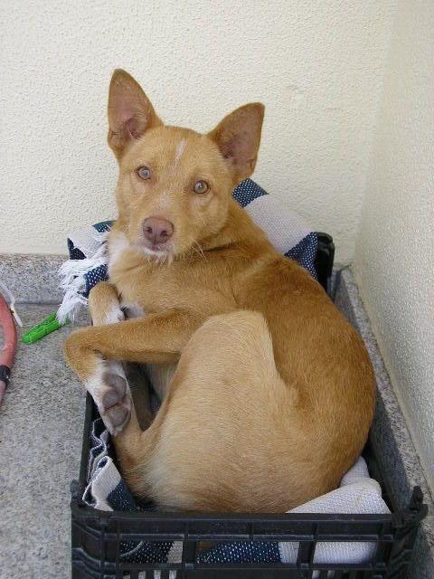 Imagem