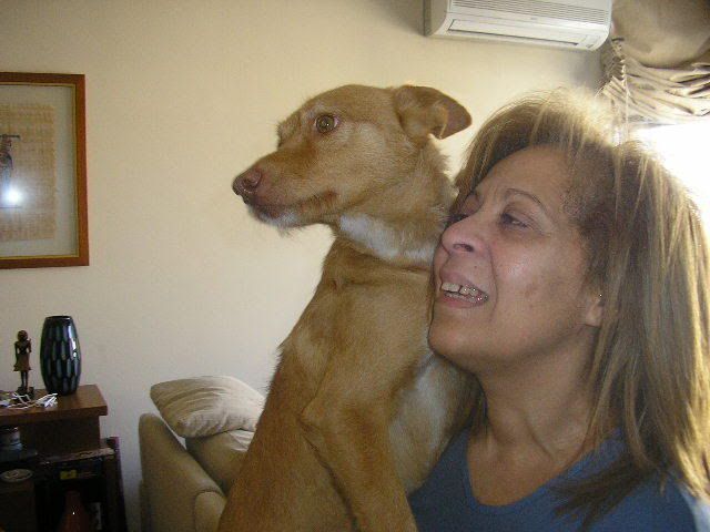 Imagem