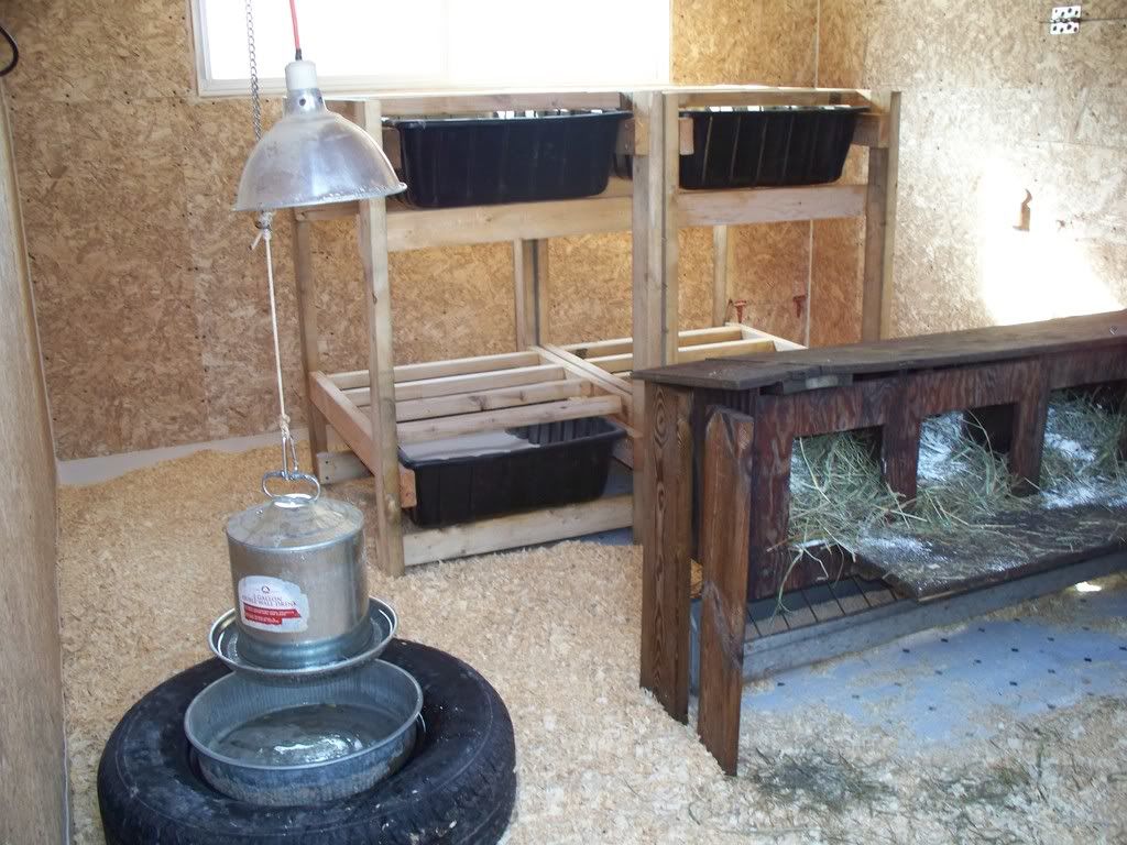 Inside Chicken Coop Photo by WildfireJane | Photobucket