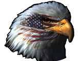 American_Eagle.jpg image by caitterbug