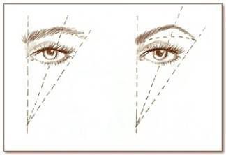 Eyebrow Shape Chart