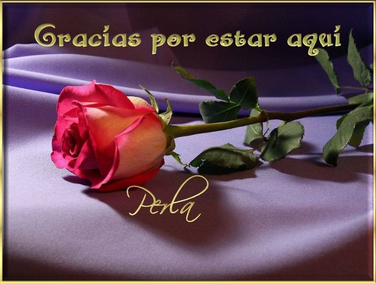  photo Imagen52perla_zpsecca8a67.jpg