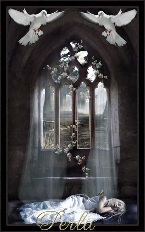 PAZ photo pazperla-1.gif