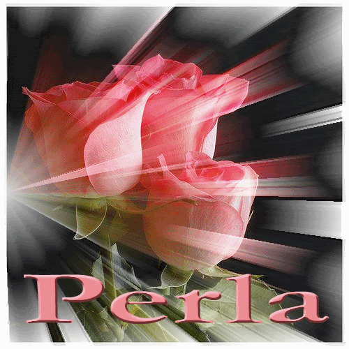mrsdsalz443ngperl.gif flores picture by perladelmar2008
