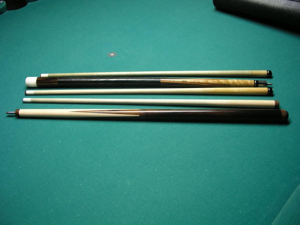 P1010026-1.jpg