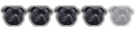 Mega Staffy-bull-terrier Member Mega Staffy-bull-terrier Member