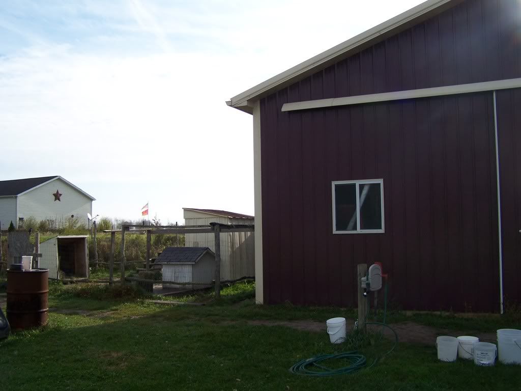 Show me your barn. Please... - Goats