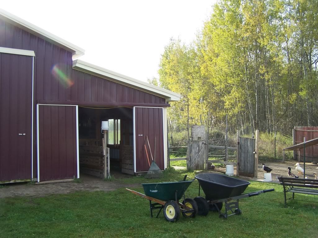 Show me your barn. Please... - Goats