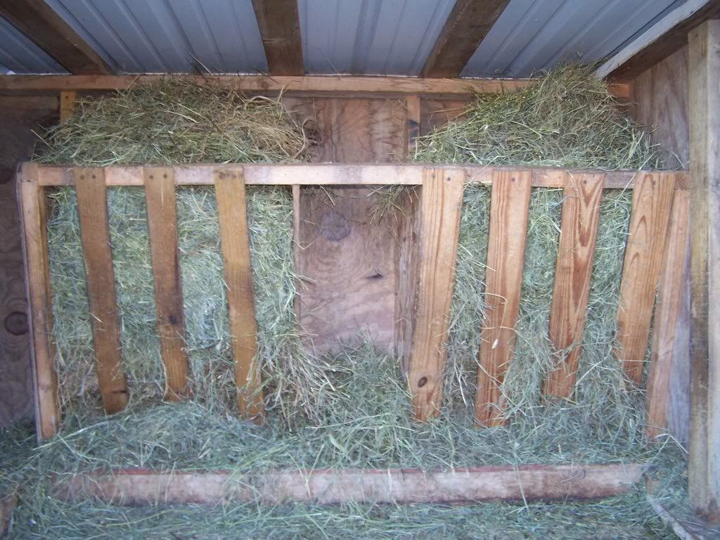 Hay holders opinions on these - Goats