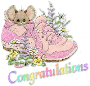 MouseInShoeCongrats.gif