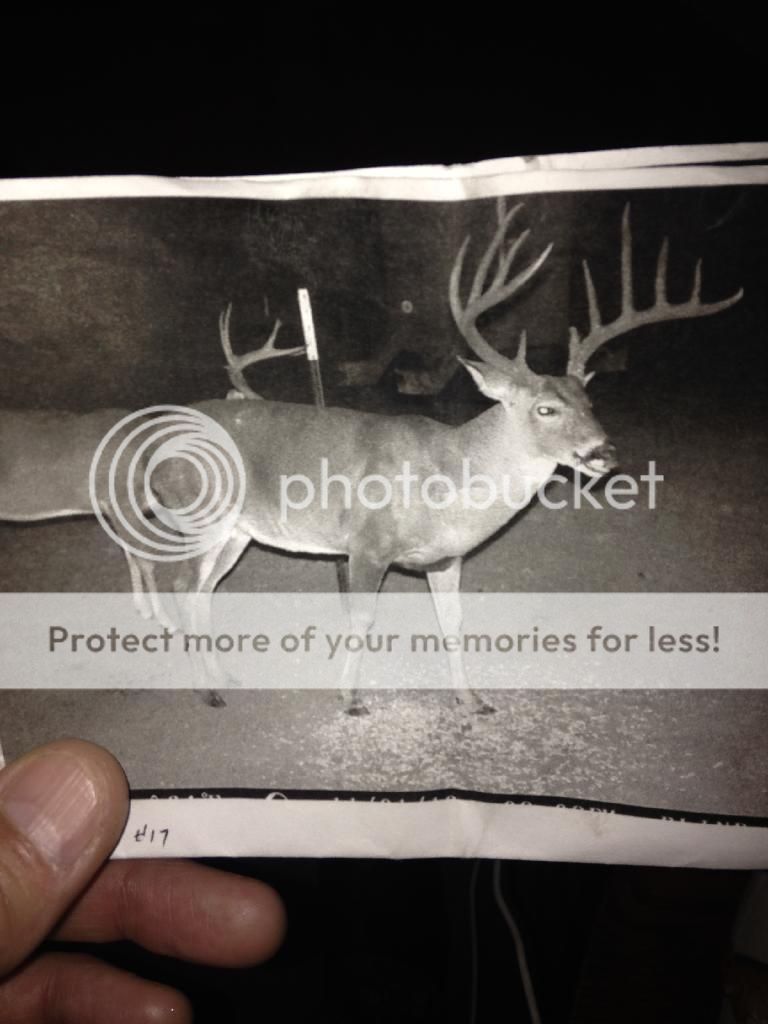 8357CAF4-4E37-49BE-BBAC-EC6FEFD961AA_zps