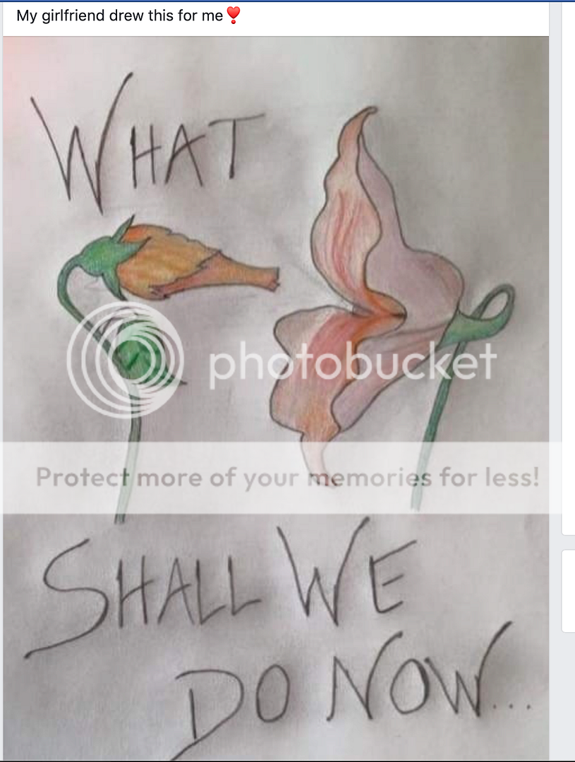 Screen%20Shot%202020-01-18%20at%202.32.5