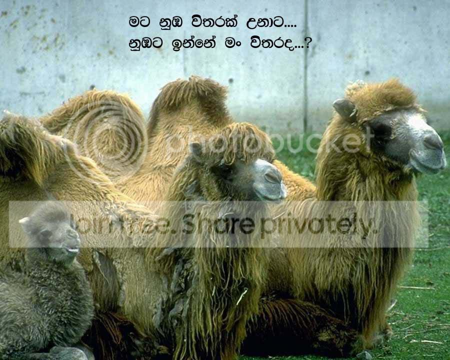 2-15.jpg