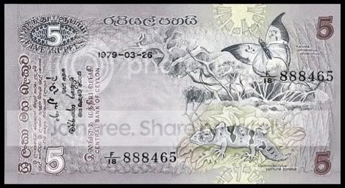 5rs.jpg