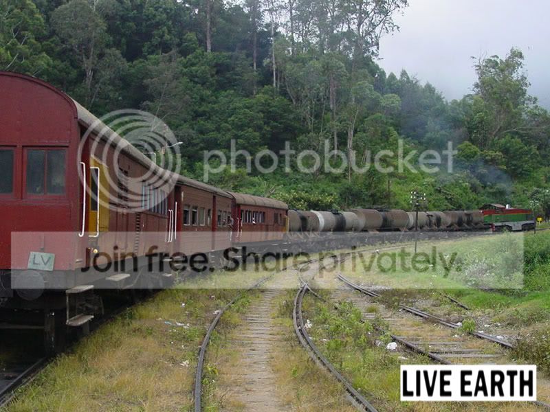 TrainatHillCountryRailwayLinecopy.jpg