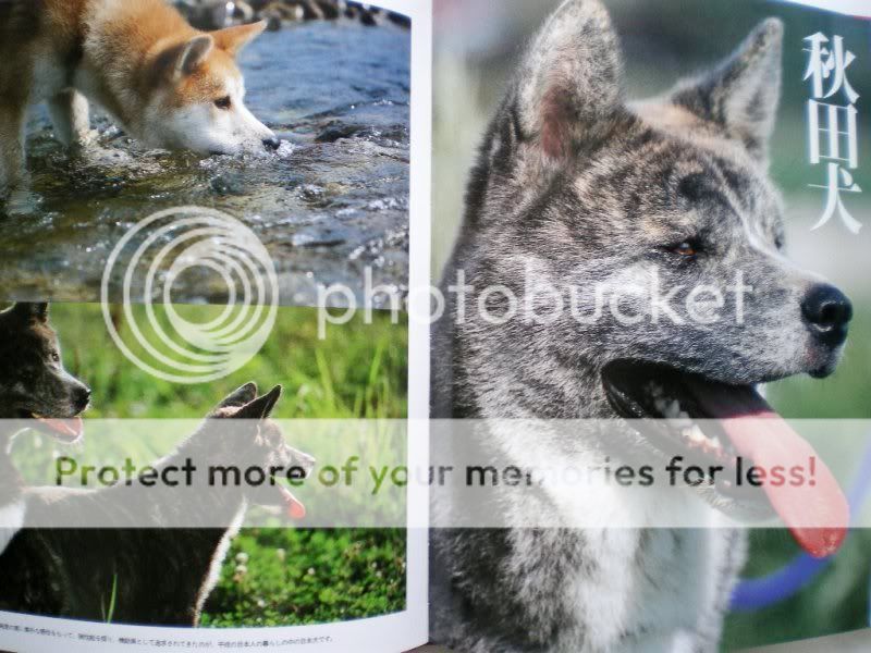   SHIPPING Japanese Dogs PhotoBook Akita Shiba inu Kishu Kai Other Inu