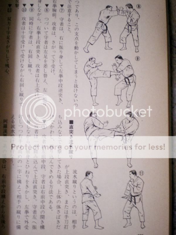  Shorinji Kempo Nyumon by Doshin So VERY RARE TEXTBOOK 