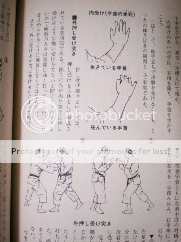  Shorinji Kempo Nyumon by Doshin So VERY RARE TEXTBOOK 