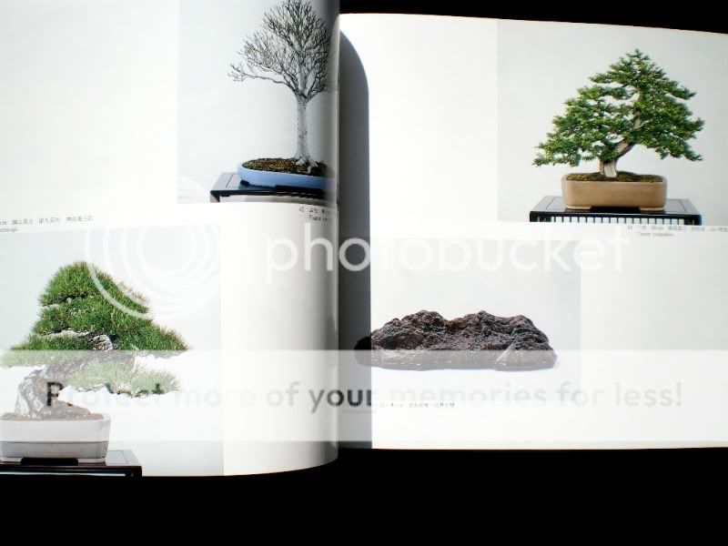 Japanese & English World Bonsai & Suiseki PhotoBook 9th  