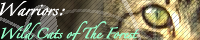 Warriors: The Wild Cats Of the Forest banner