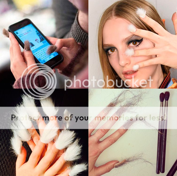  photo unhas-peludas-3.jpg